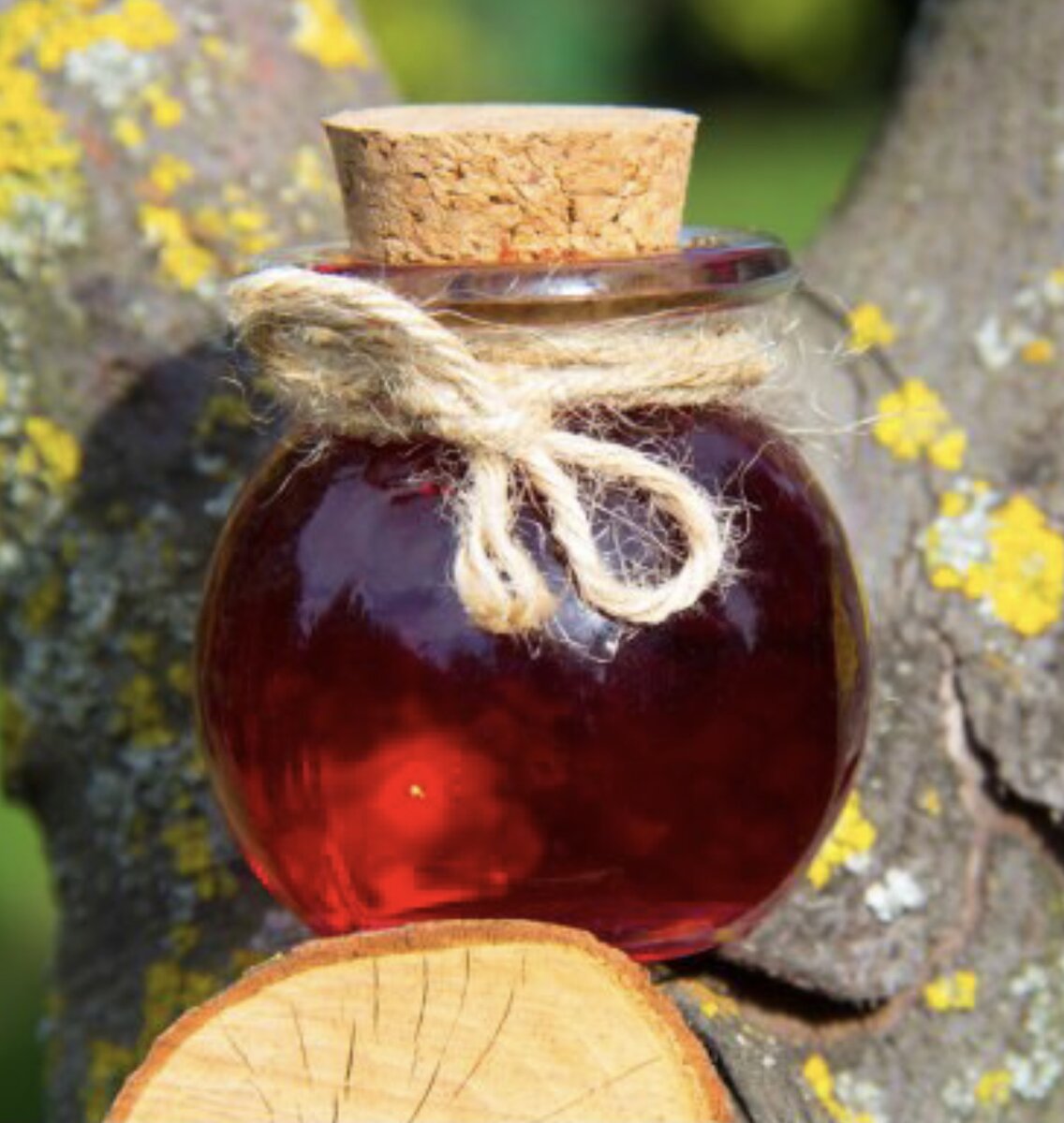 Фото щи интернета