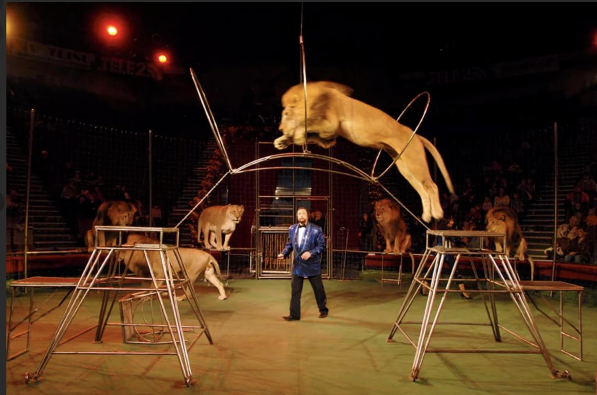 Народный артист России Николай Яковлевич Сквирский (один на один со львами)