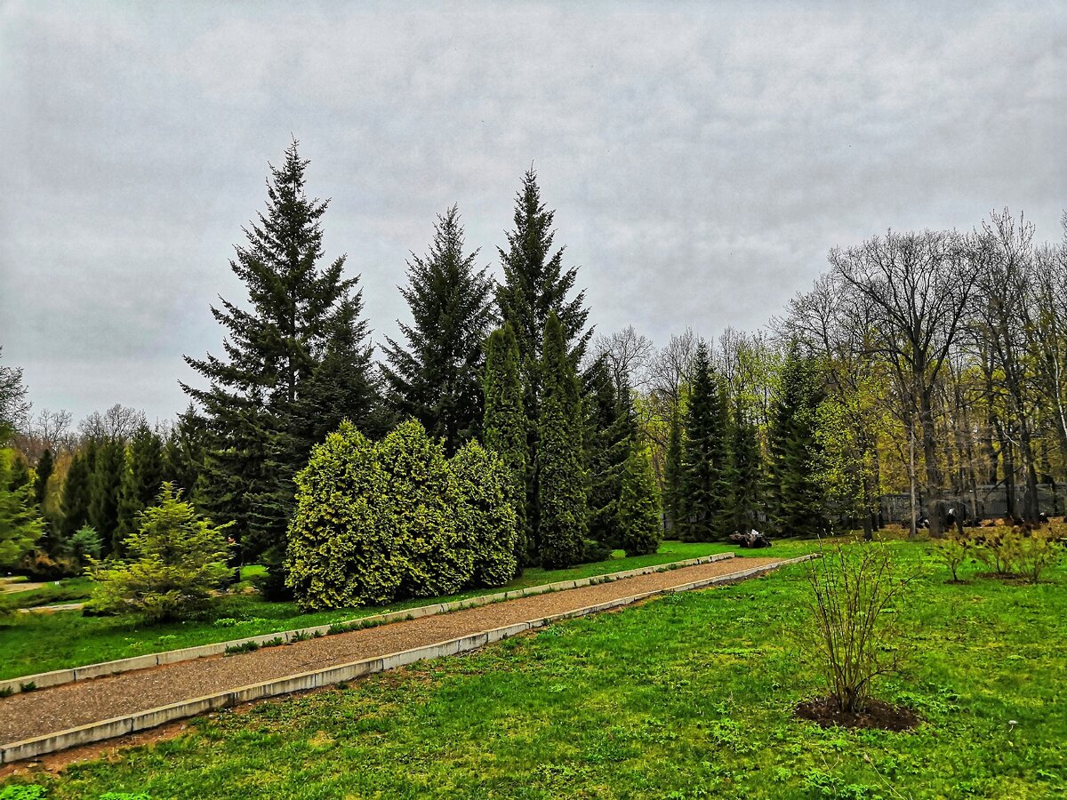 Сайт ботанического сада уфа. Уфимский Ботанический сад. Ботанический сад Бишкек. Ботанический сад Соликамск. Ботанический сад Уфа зимой.