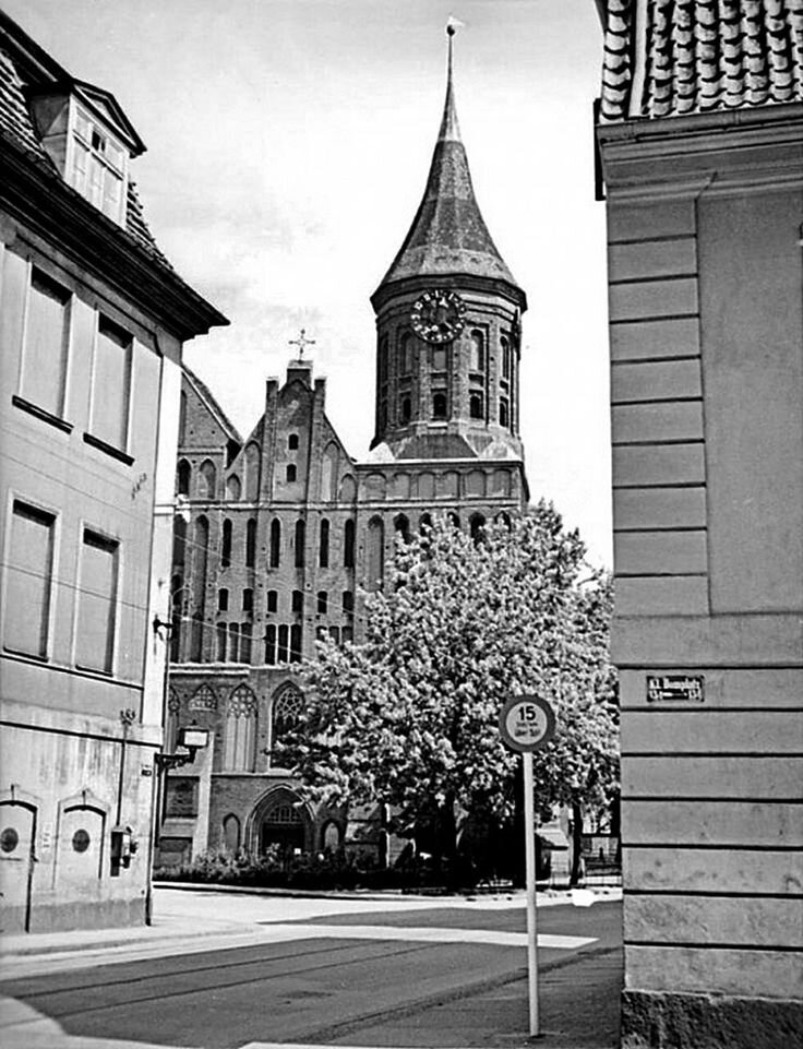 Остров канта старые