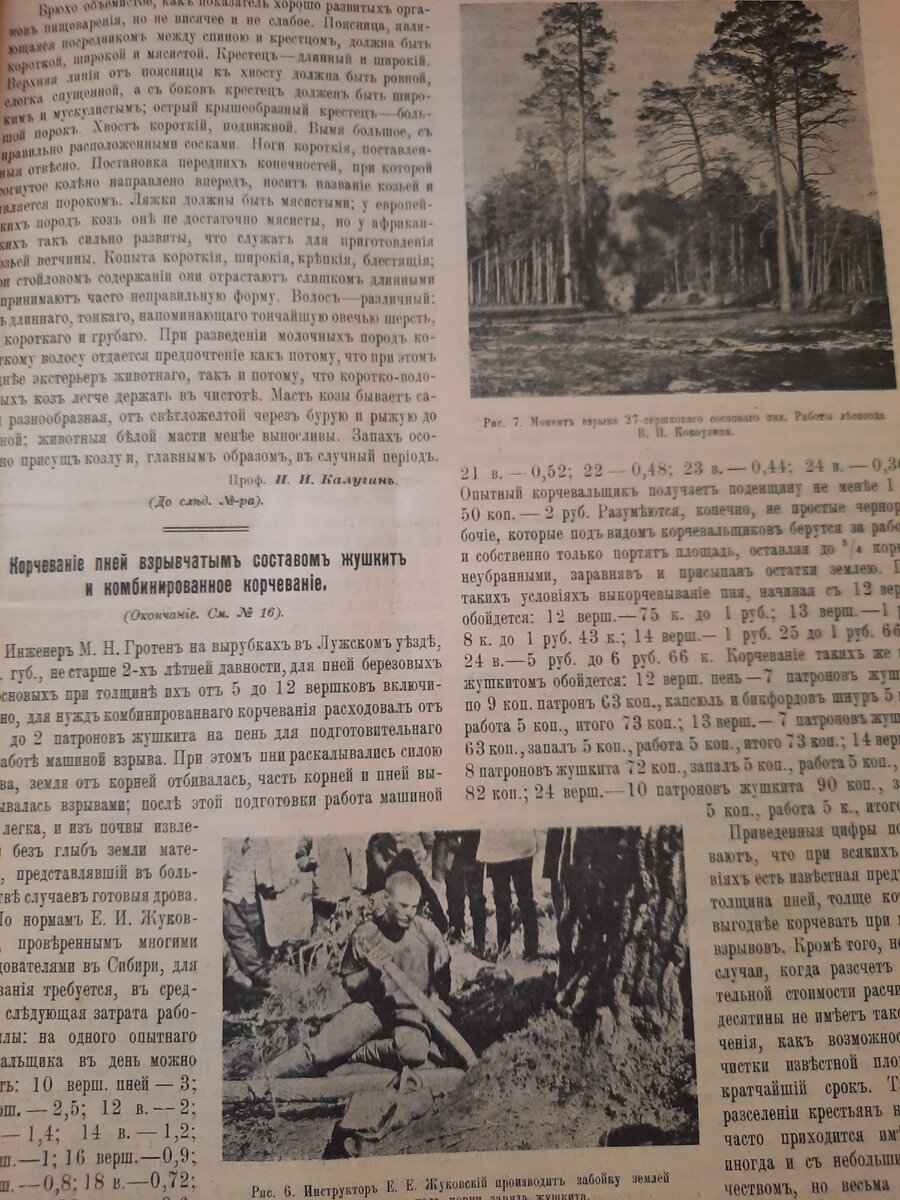 Новые друзья, которых подобрал в подъезде. Советские приемник и книга,  дореволюционный журнал... | Владимир Артамонов | Дзен