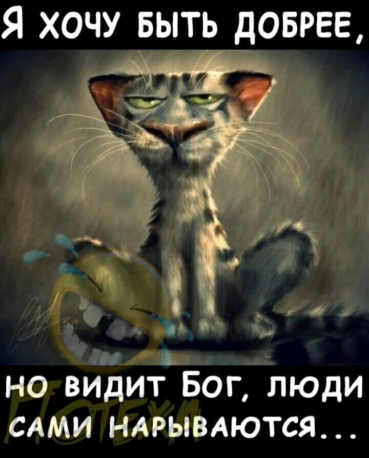 Эта картинка передает состояние моей души,недавно читала статью,там была эта картинка,сфотала себе,уж больно правдиво и ржачно 😂