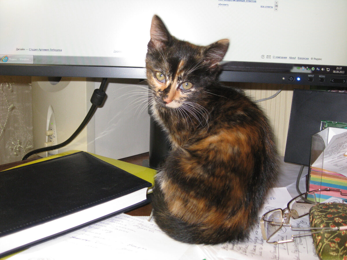 Василиса маленькая. Фото автора