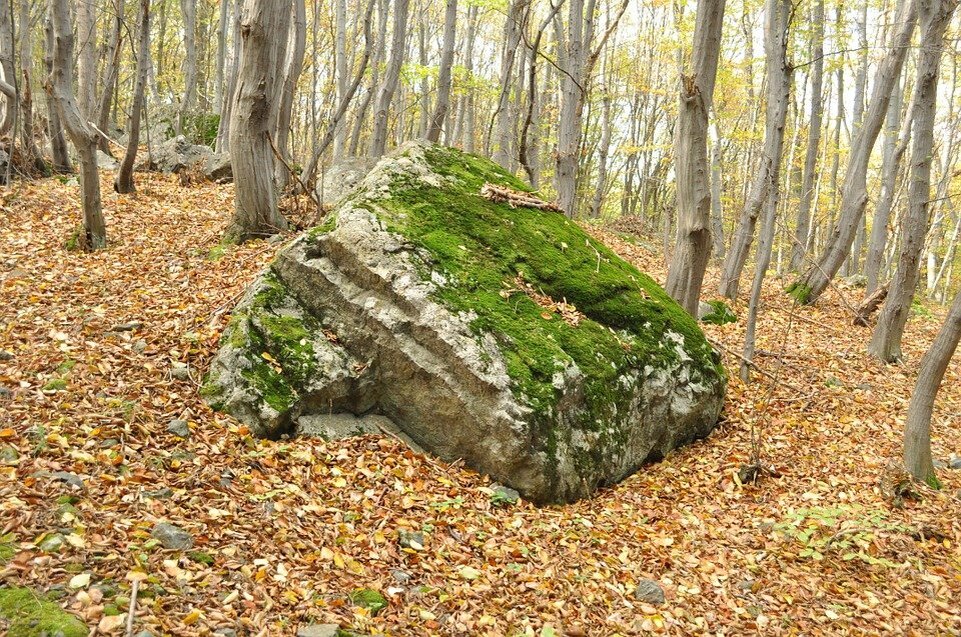 https://pixabay.com/photos/autumn-forest-stone-nature-698490/