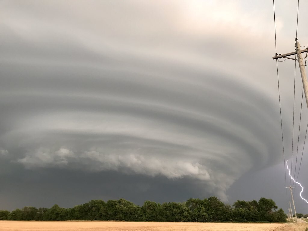 фото с сайта: https://clck.ru/Uhq2k