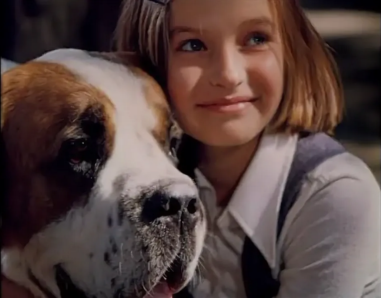 собака друг человека. с какой собакой подружилась девочка. девочкой и собаки любовь. с какой собакой подружилась девочка. себастьяна бьют.