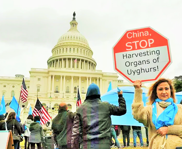 Литва объявила. Сейм литвы. Литва объявила. Сейм литовской республики. Стена литва белоруссия.