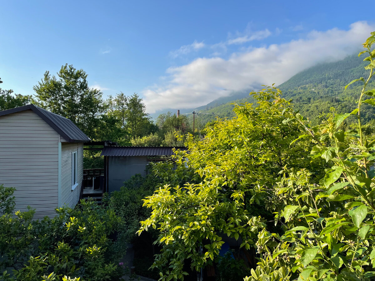 Впервые побывал в Абхазии: первые впечатления, плюсы и минусы отдыха ...