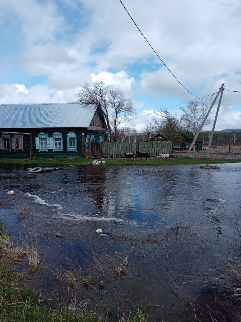 Паводковые районы. Паводок. Паводковые районы. Половодье петровск. Паводок.