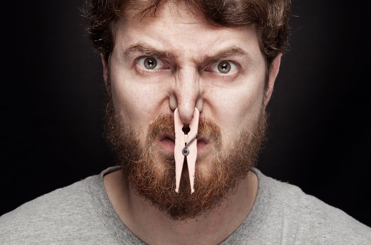 Бюджетные способы освежить воздух в салоне автомобиля