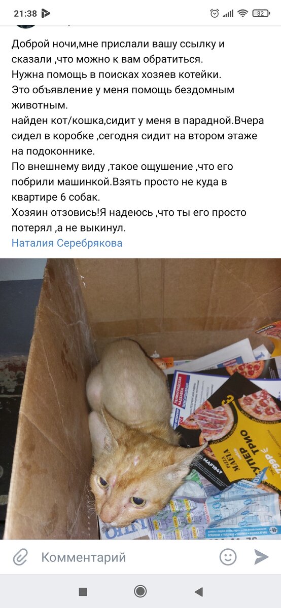 Скрин автора из соц.сетей. Леня