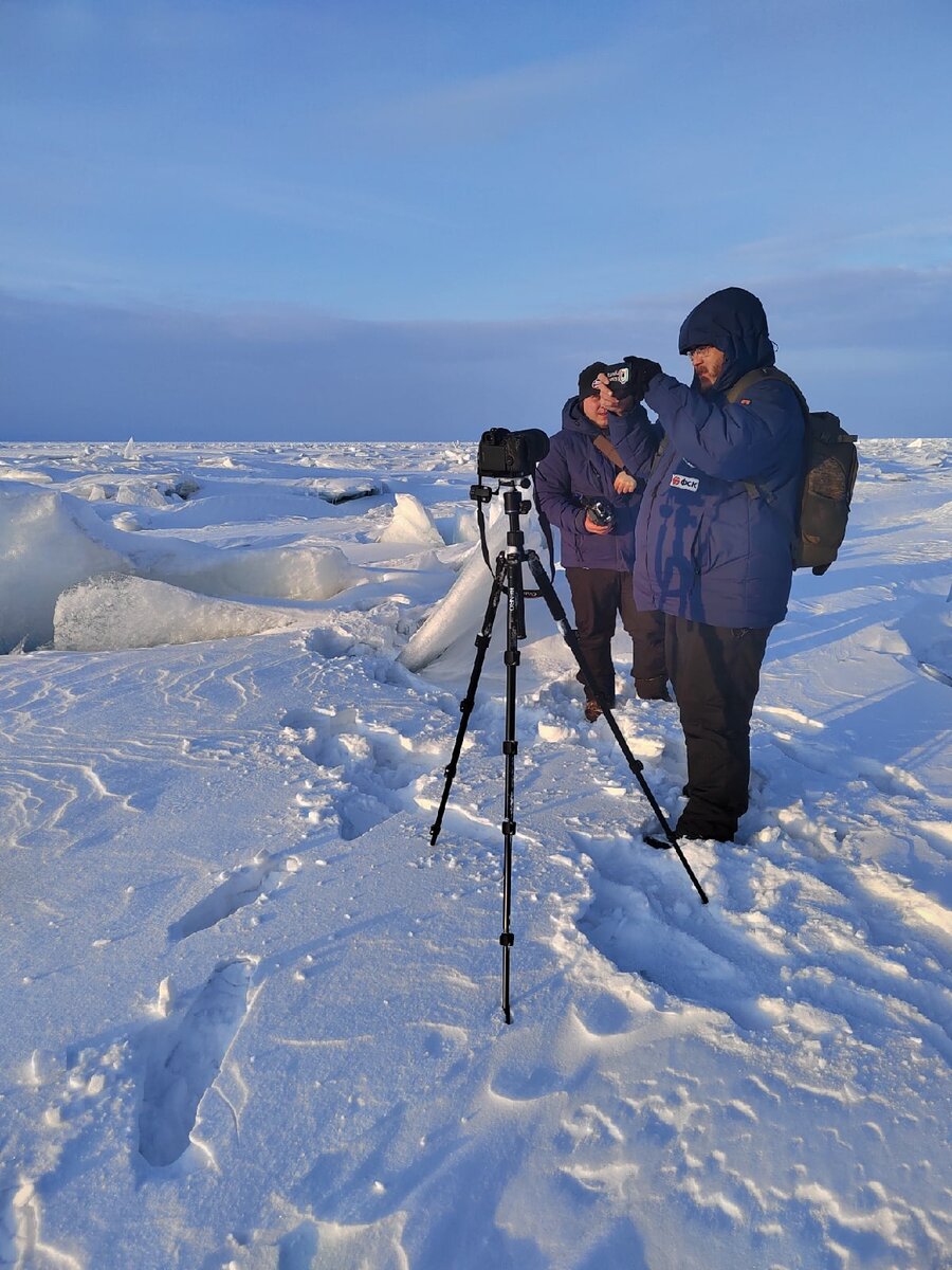 Тихо! Идет съемка