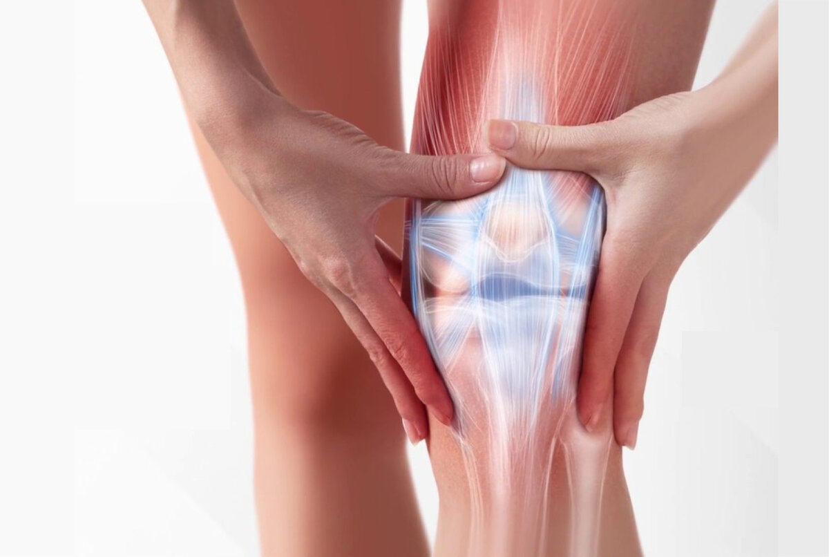 Knee Joint Pain