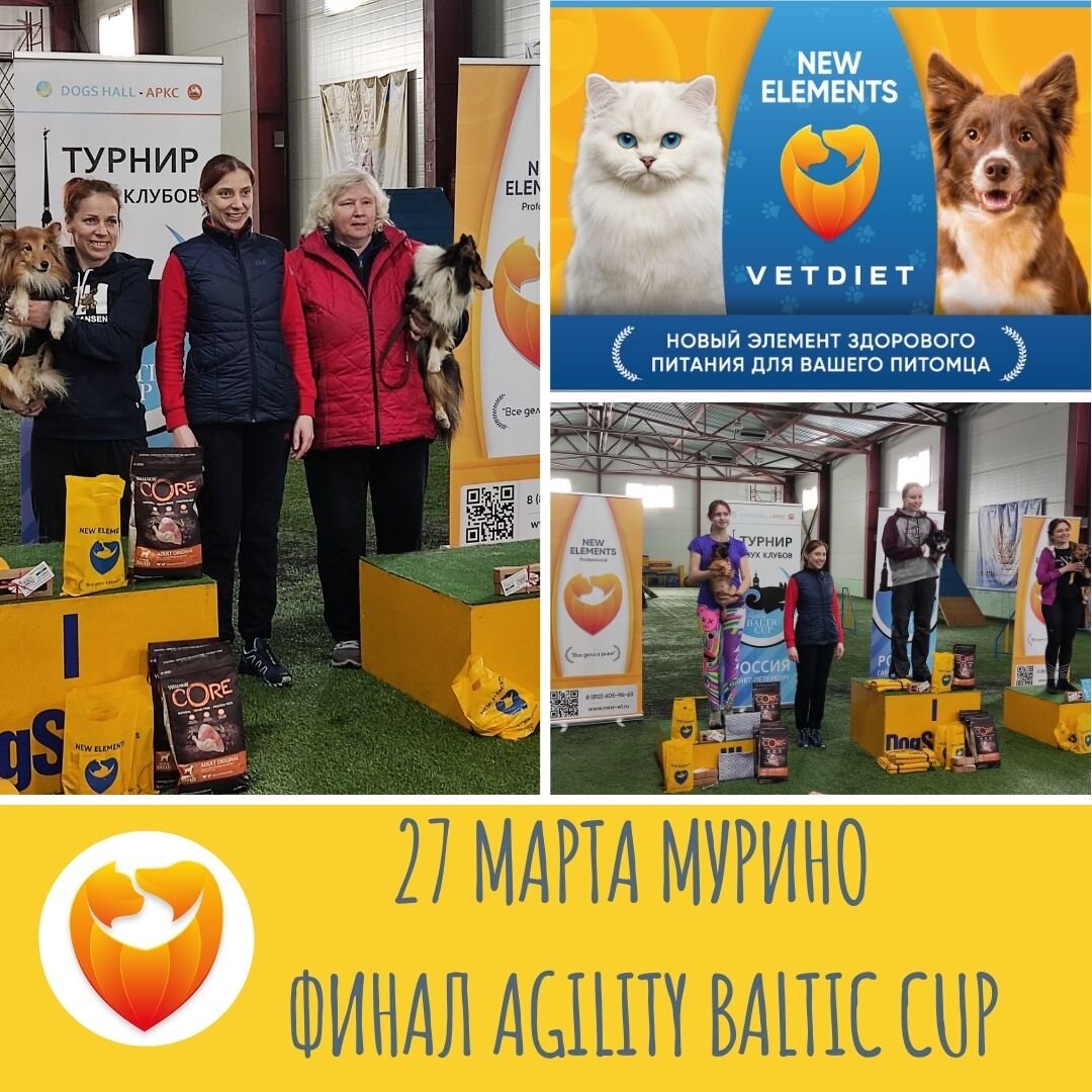 Agility Baltic Cup финал 27.03.2022 г.
