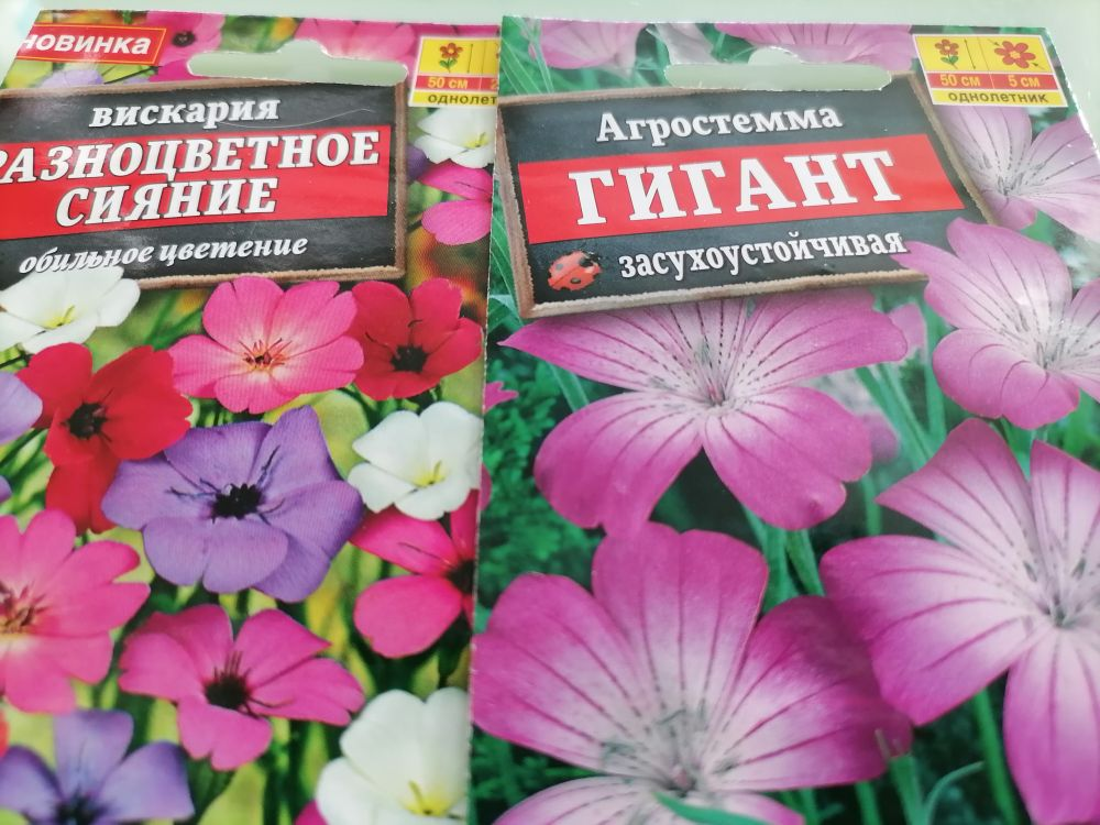 Однолетник Вискария