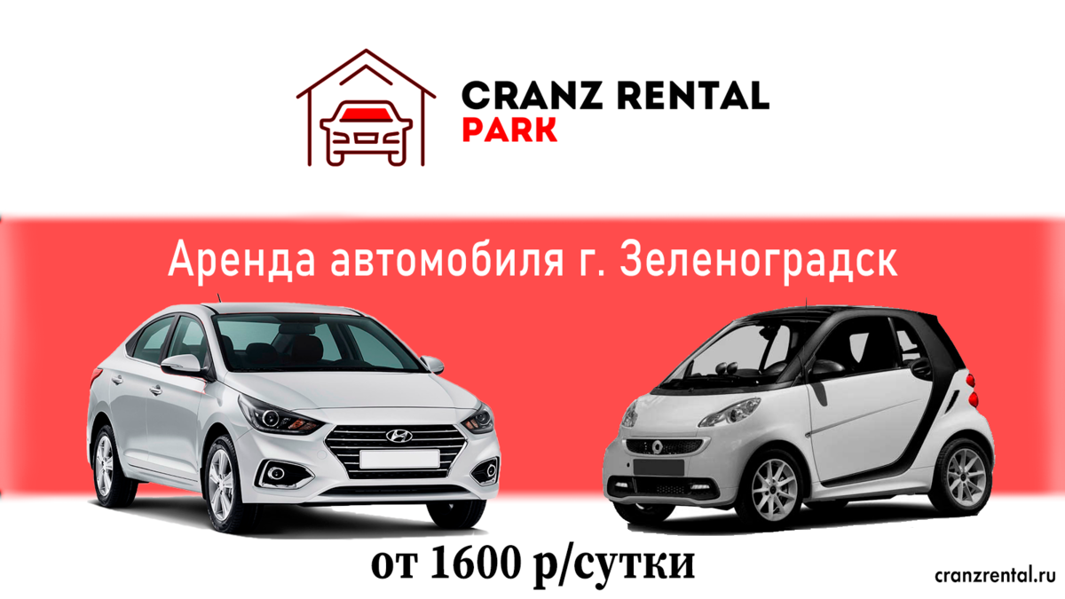 Путешествие на Куршскую косу. Маршрут и цены. Гайд. | Cranz Rental Park |  Дзен