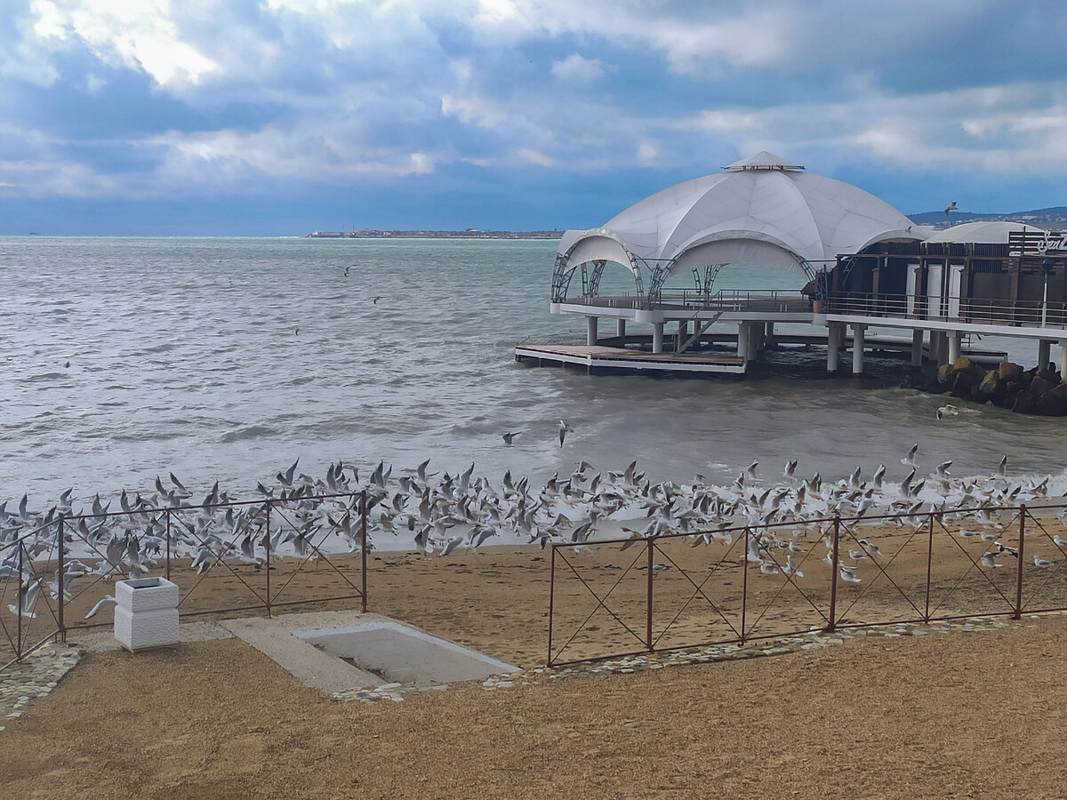 Пляж Геленджик. Зима 2022.