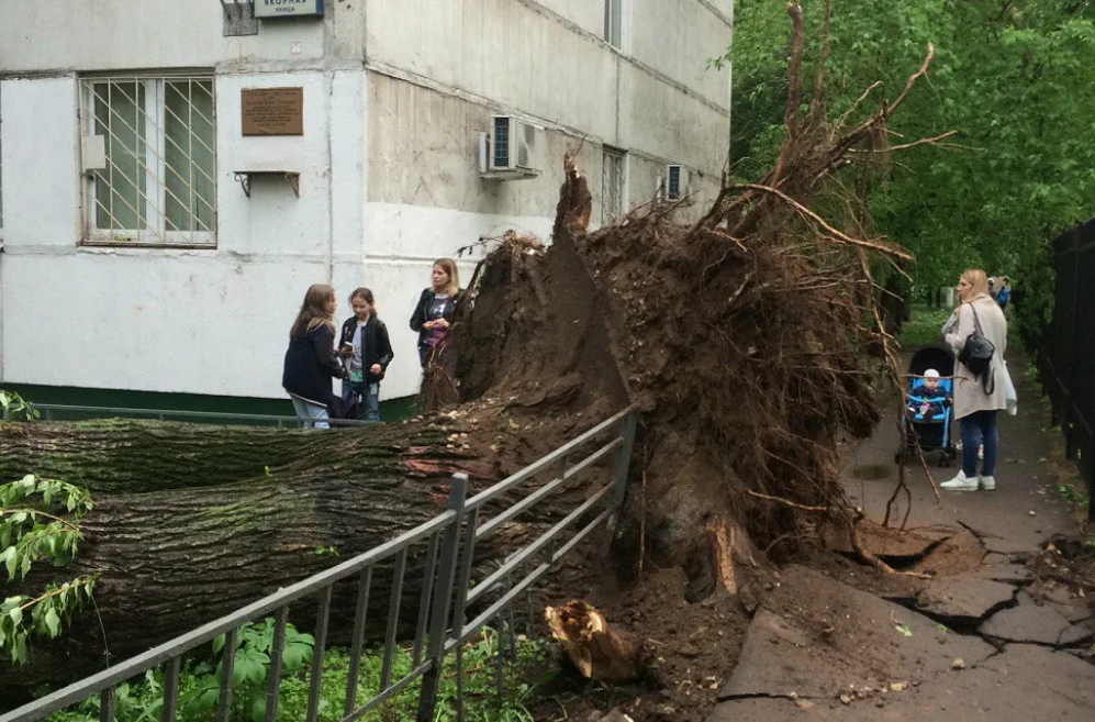 Ураган в москве сегодня куда движется. Ураган в Москве. Ураган в Москве 2001. Ураган в Москве 1998. Ураган в Москве 2011.