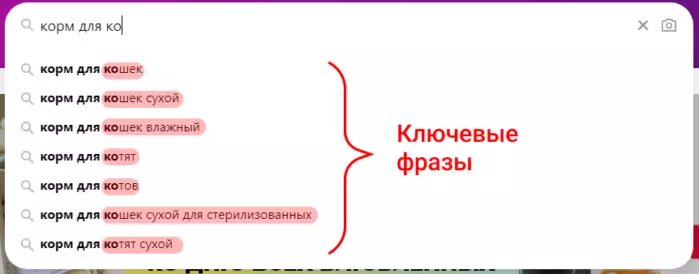 Примеры подсказок в поиске Wildberries