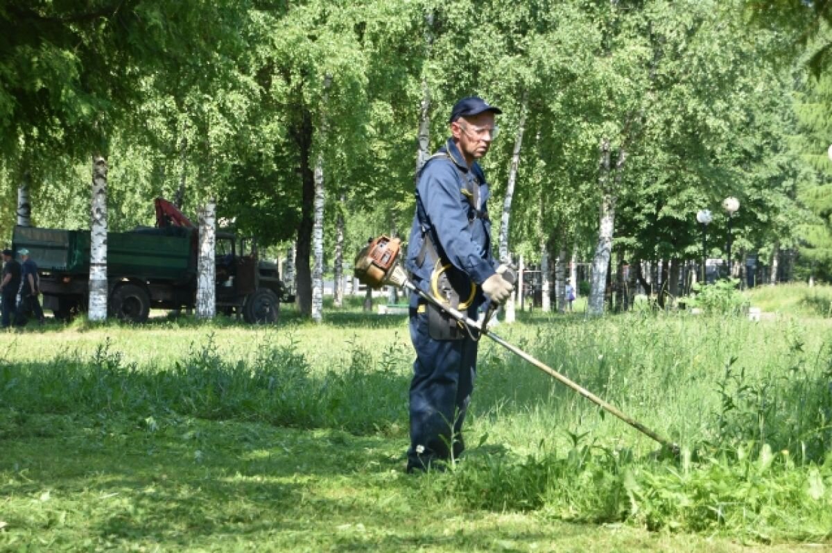    В Твери усилена работа по покосу травы в парках и скверах