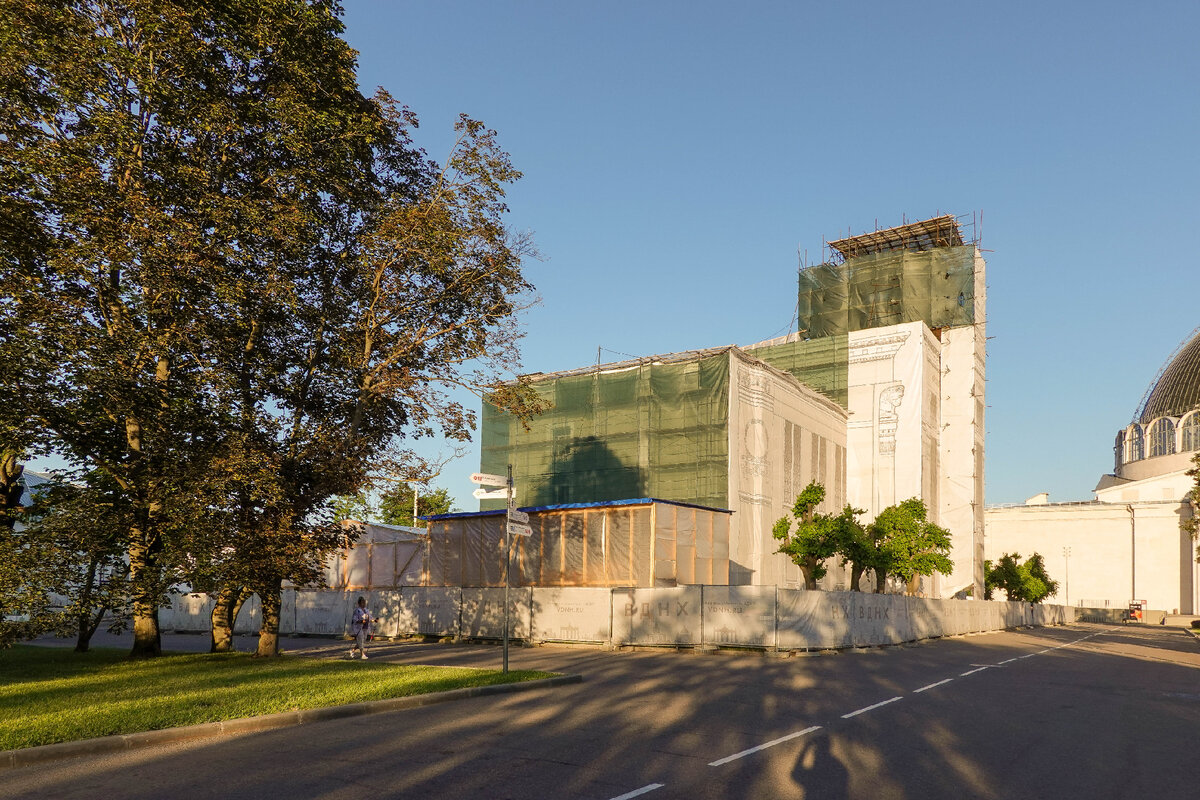 Июнь 2022. Все современные фотографии в статье мои