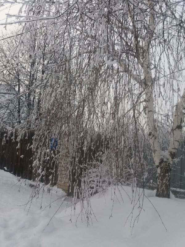 -13
