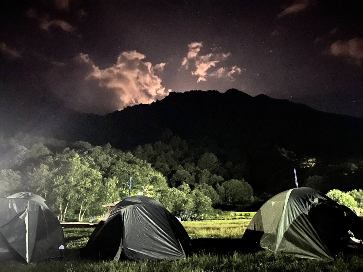 Автор фото: https://instagram.com/zaika_dsh?igshid=YmMyMTA2M2Y=