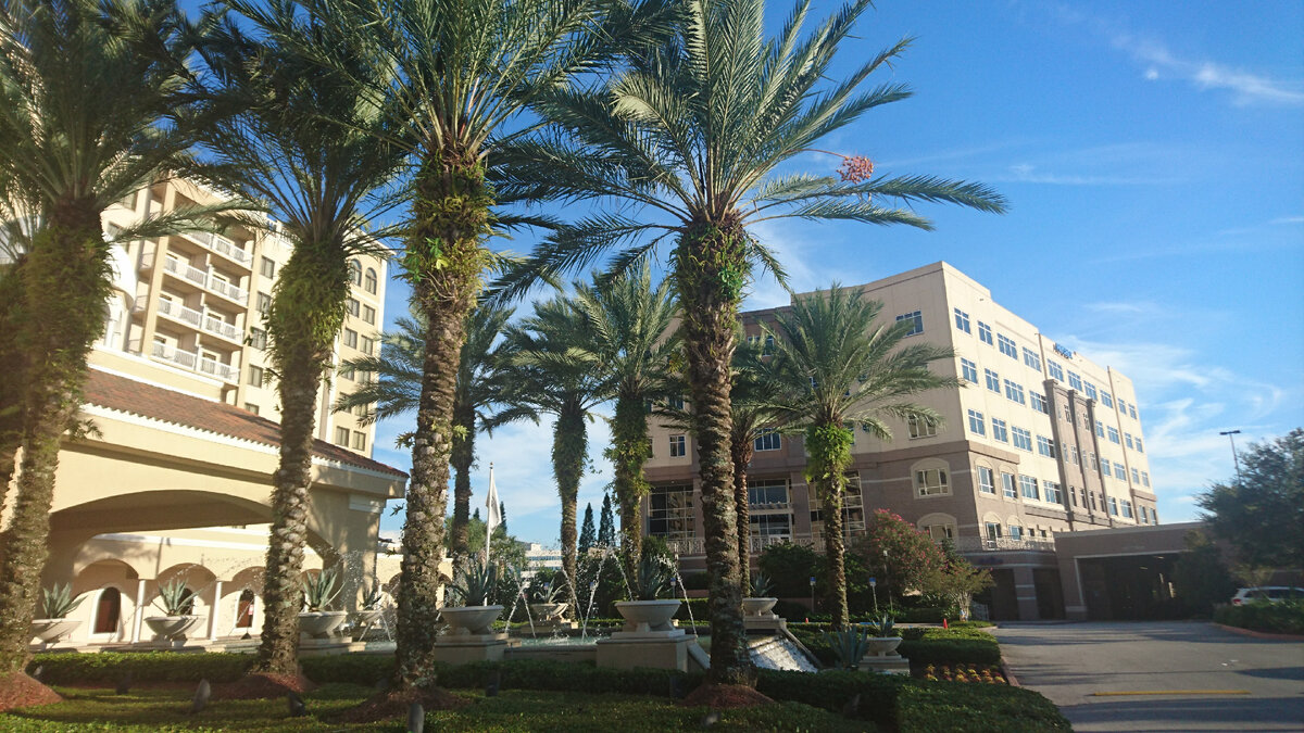 Тропический город Санкт-Петербург 