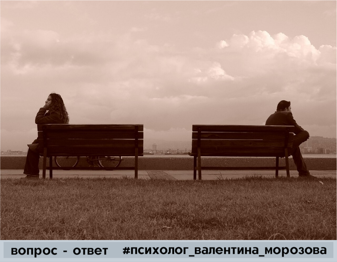 Фото взято из открытых источников