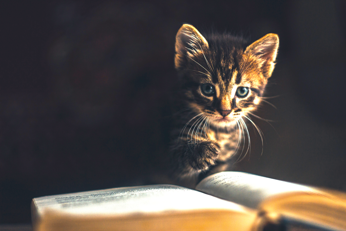 Photo by Vadym on Unsplash