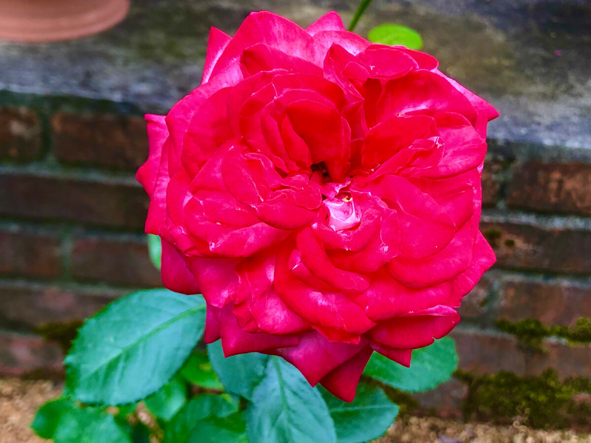 Личное фото 