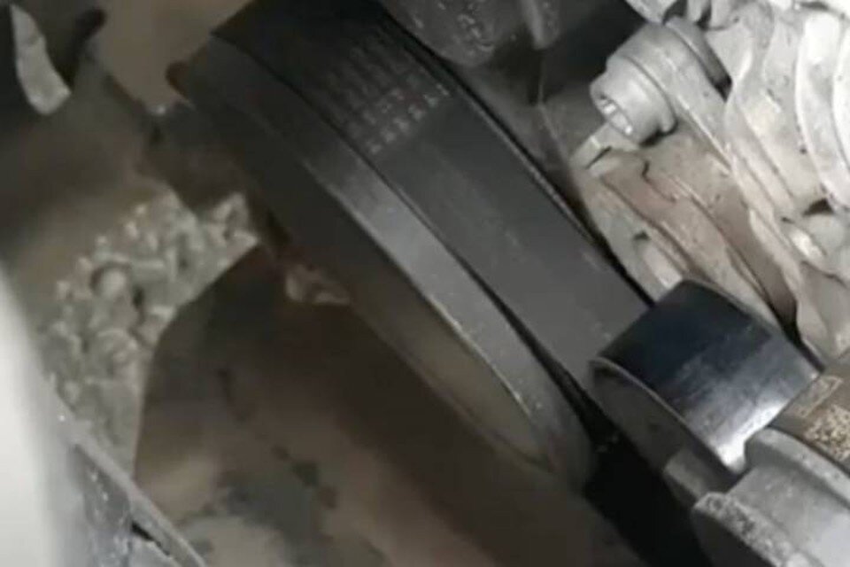     Котенок три часа прокатался под капотом машины в Петербурге  принтскрин видео.