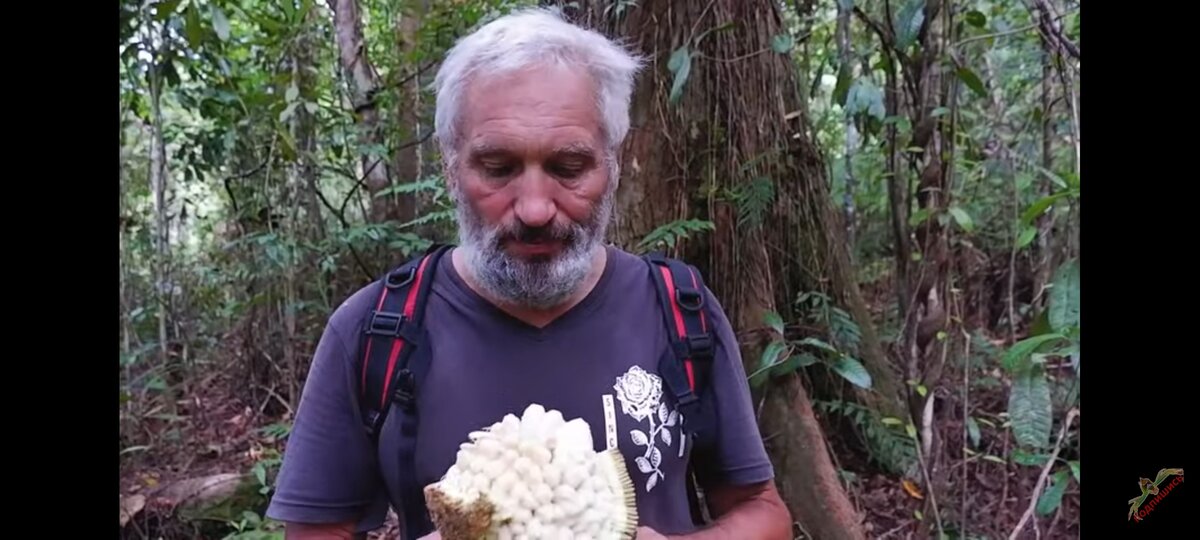 Нашли маранг