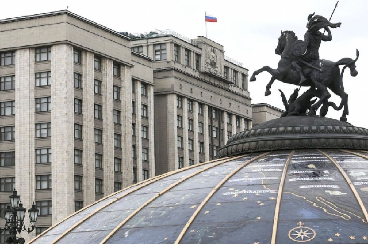    Госдума подготовила обращение к ГА ООН с призывом осудить действия Украины