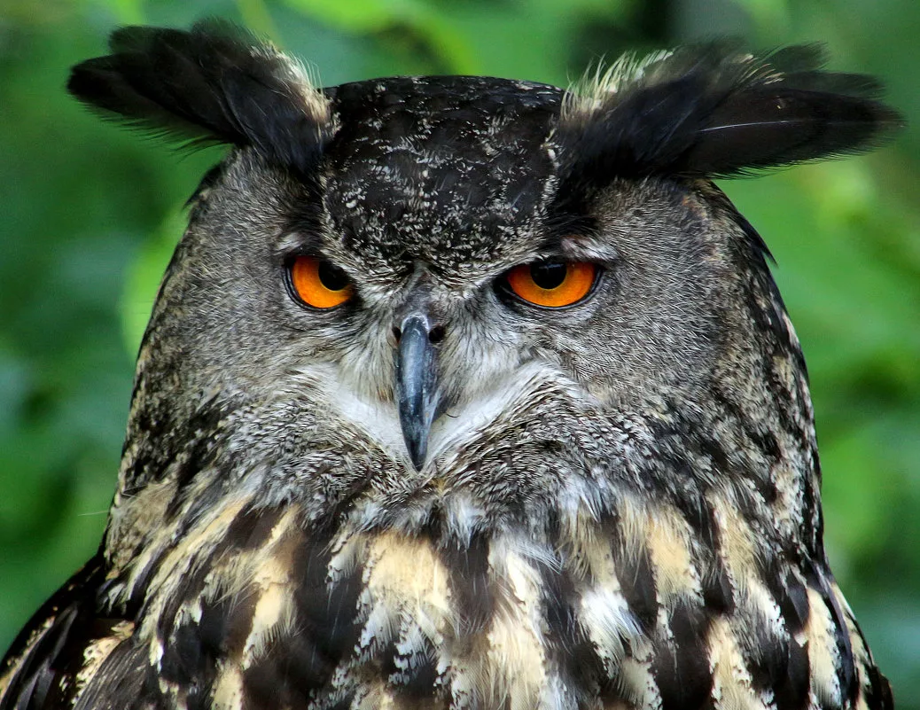 Фото из интернета