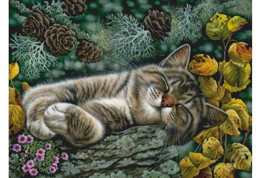 ����� ������