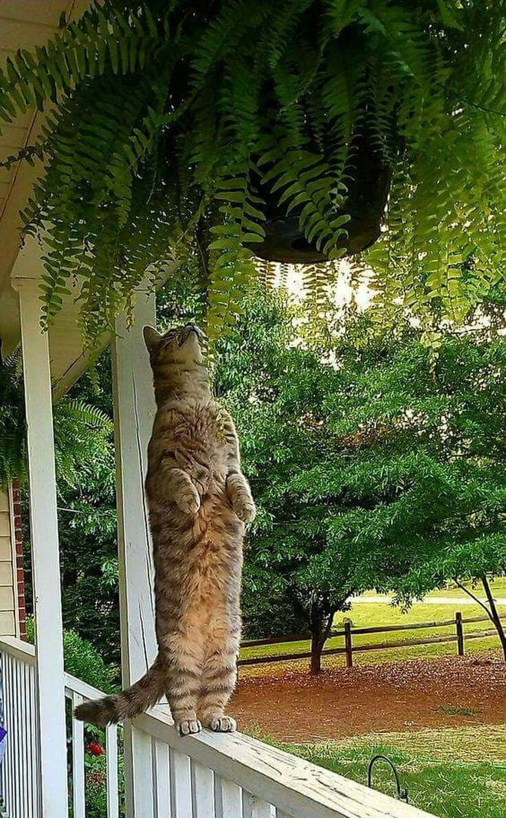 Источник фото: https://yandex.ru