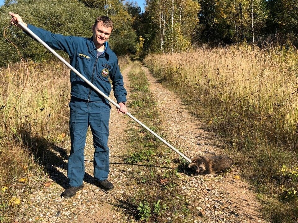   Евгений Ванифатов