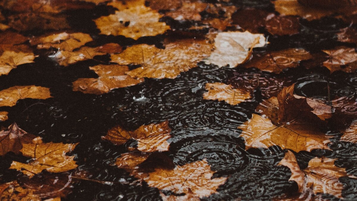     Октябрь будет в Красноярске «нормальным», средняя температура выше нуля