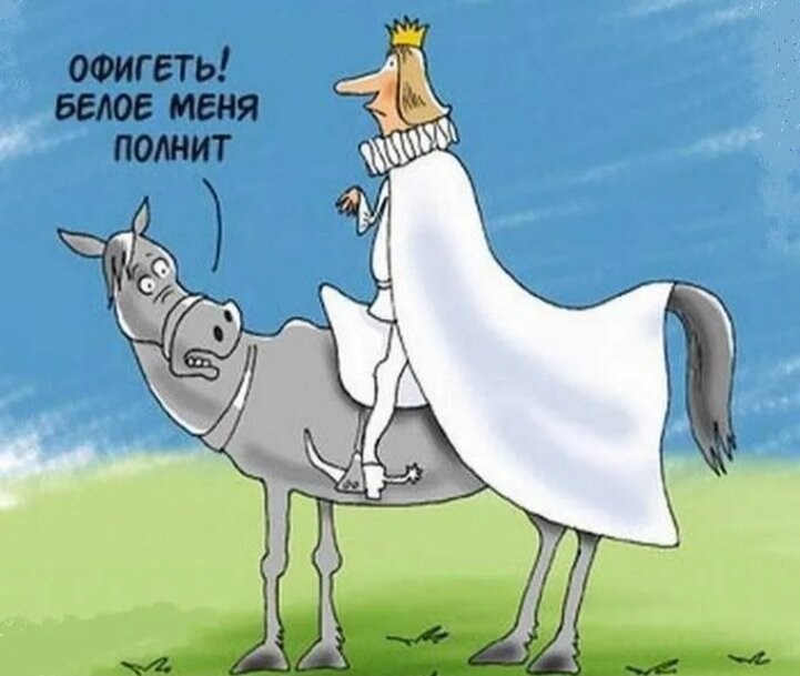 Какой полководец на белом коне. Принц на белом коне карикатура. Смешной принц на белом коне. Принц на белом коне прикол. Лошадь прикол.