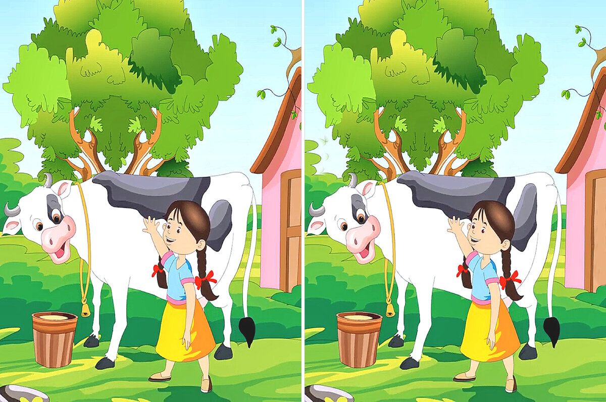 2 отличия