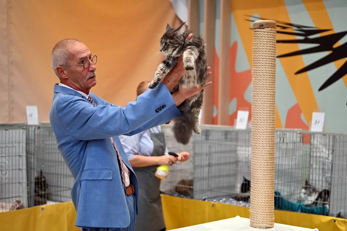 Посетители выставки могли увидеть около 25 различных кошачьих пород.