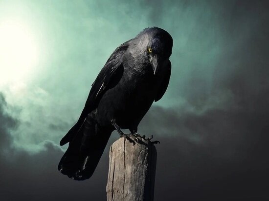     фото pixamay.com