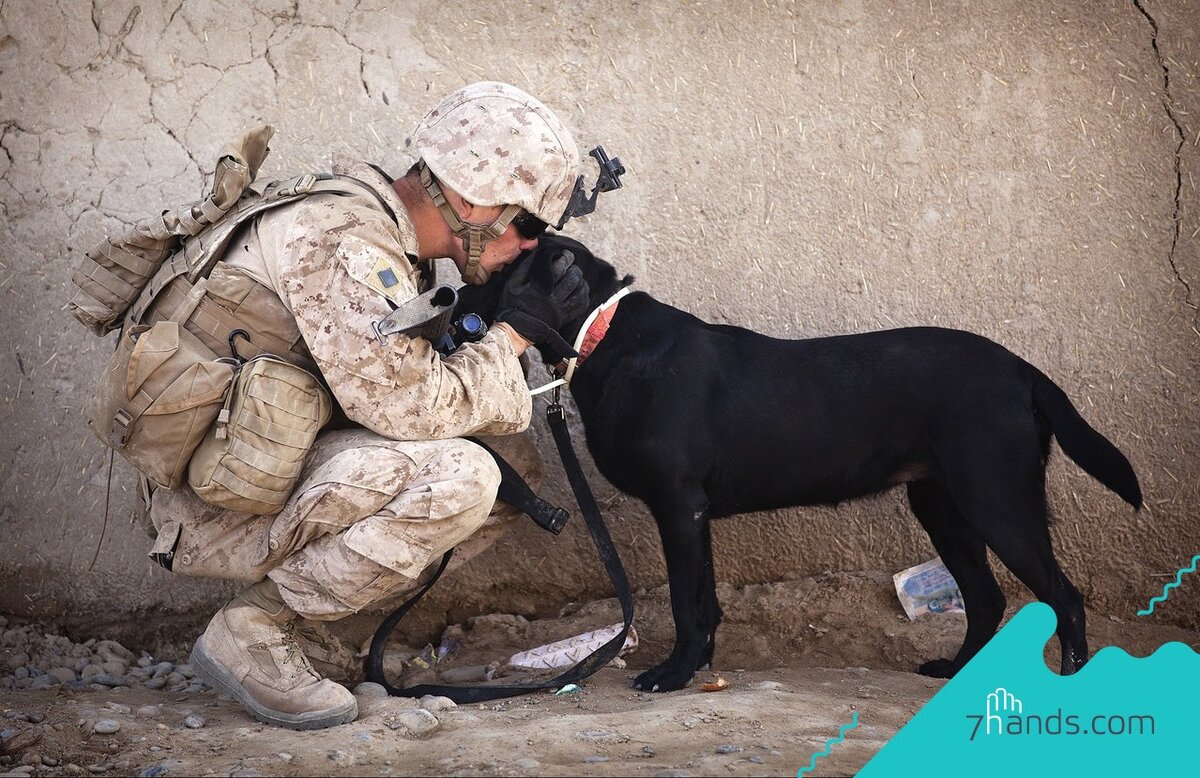 Источник: https://7hands.com/