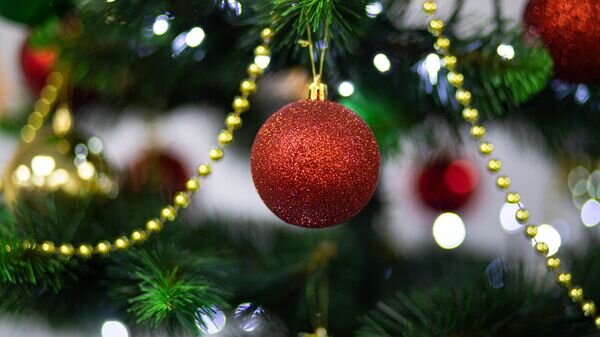   © Sputnik / Mihai Caraus