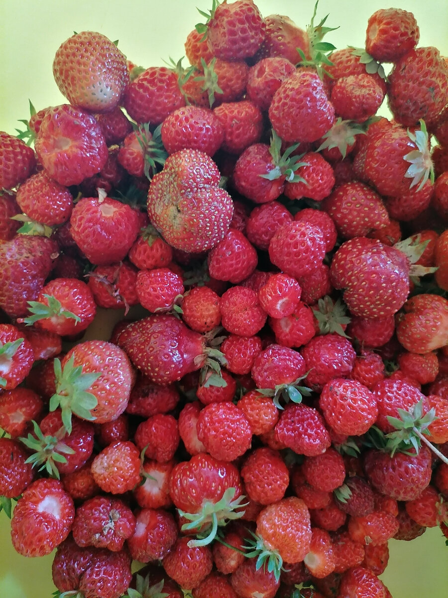 А это свежая летняя фото автора