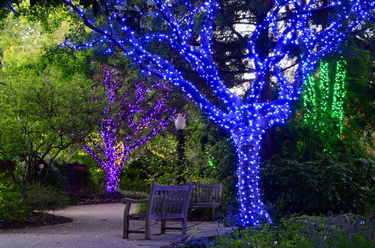 С помощью уличных гирлянд можно визуально выделить любимые участки в саду (источник фото: https://stroy-podskazka.ru)