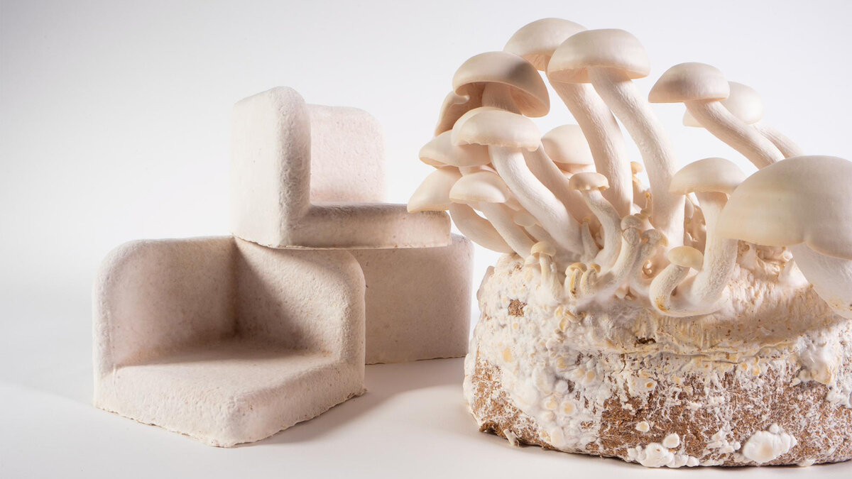 Источник: kineco.bio