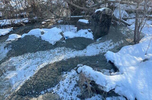    Фото: Юрист Дмитрий Болдырев