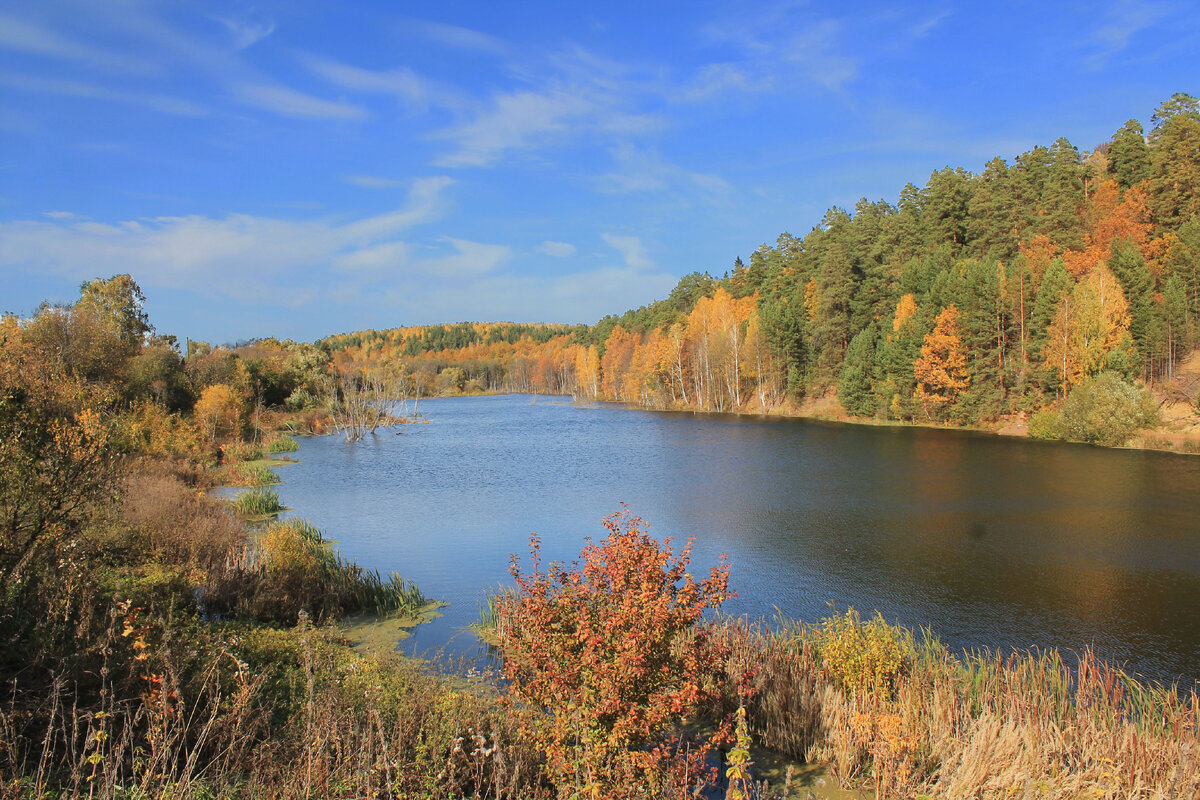 Фокусное 18.